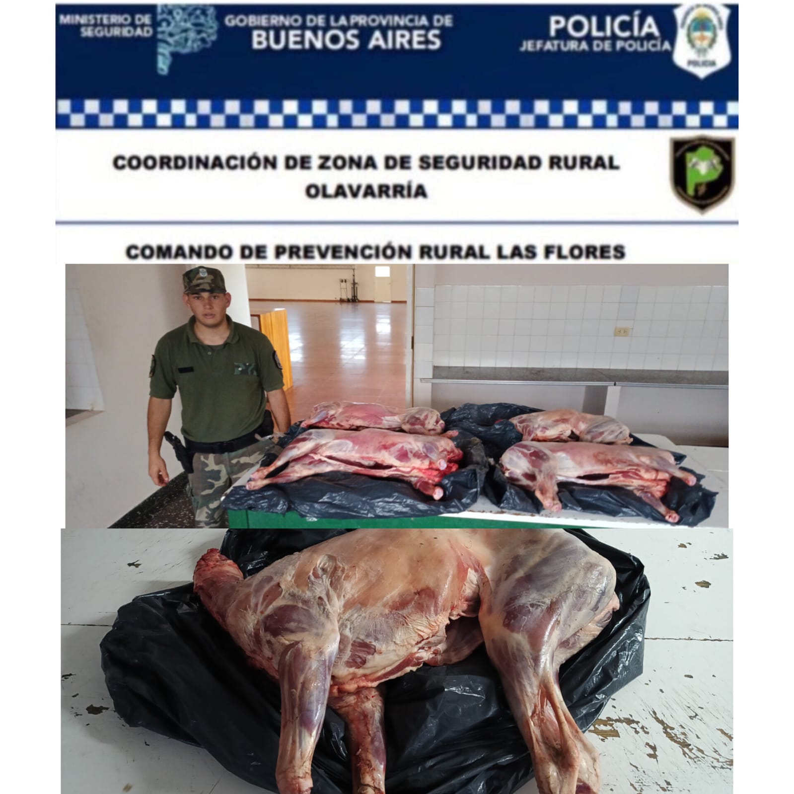 PARTE DE PRENSA, VIERNES 24 DE OCTUBRE DE 2025