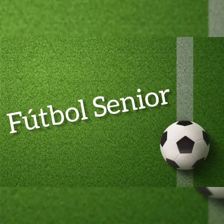 Anticipamos Una Nueva Fecha Del Torneo Senior En El Predio Del Hollin