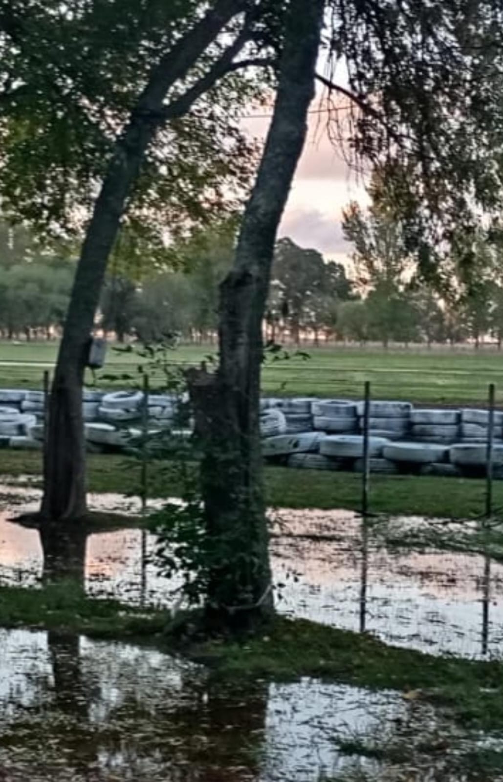 Por la lluvia, Rauch Se Queda Sin Carrera Del Karting Del Este