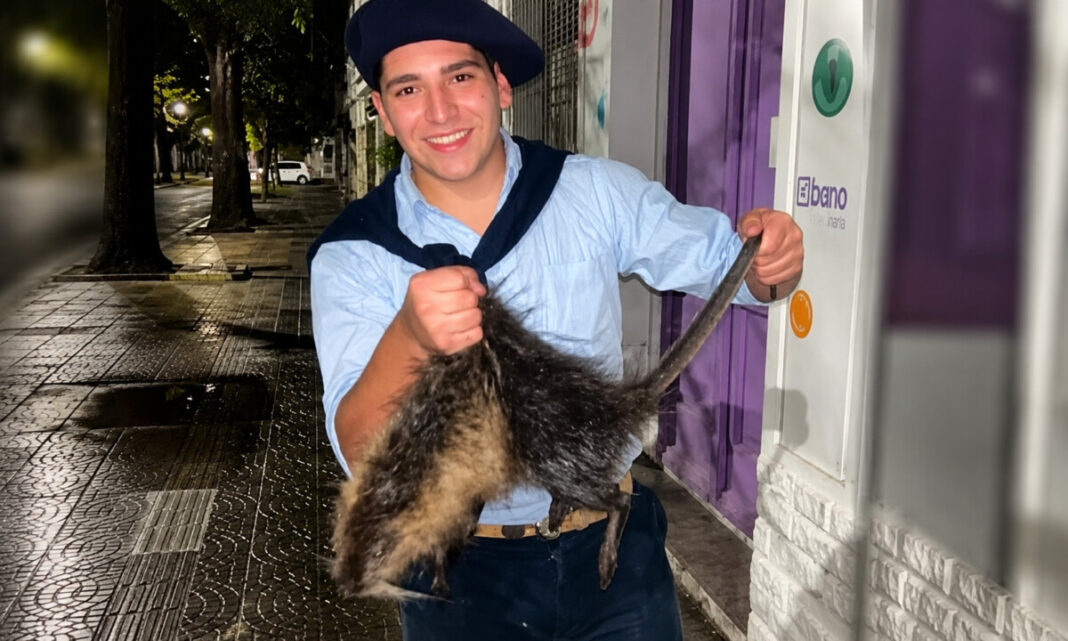 Horror en Bahía Blanca: denuncian a dos jóvenes por matar a patadas a un roedor